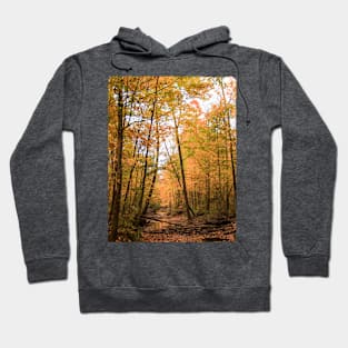 autumn colors Hoodie